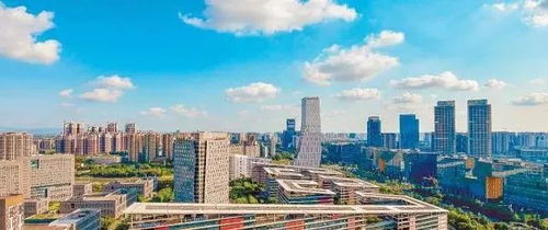 青春在這頭，夢想在那頭 成都朗力在天府軟件園的成長故事